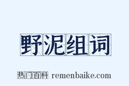 野泥组词是什么意思的图片